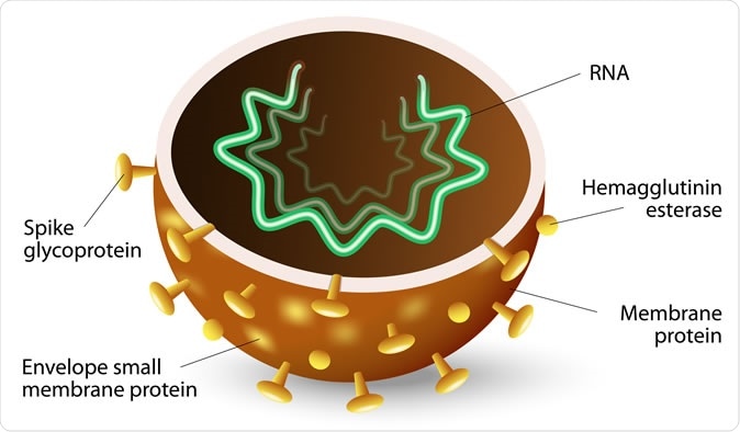 coronavirus dessin