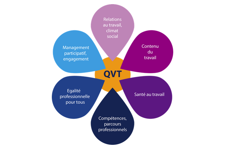 qvt six axes